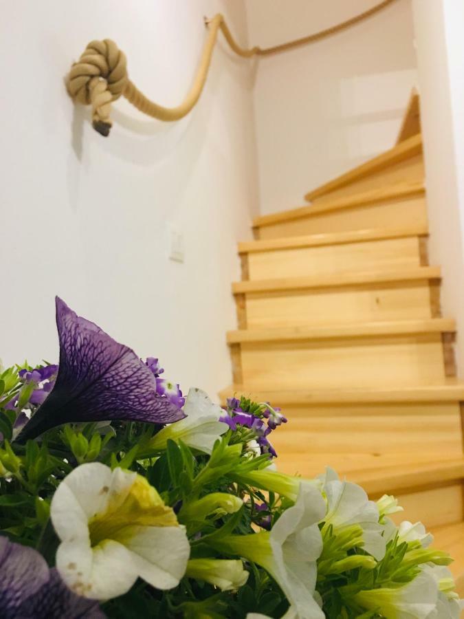 House Corte Dei Matte' Rovinj Exterior photo